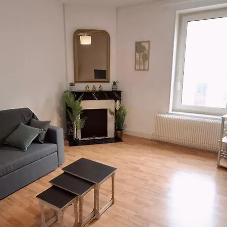 Des Cousines Anais 4 Personnes Apartment Nancy