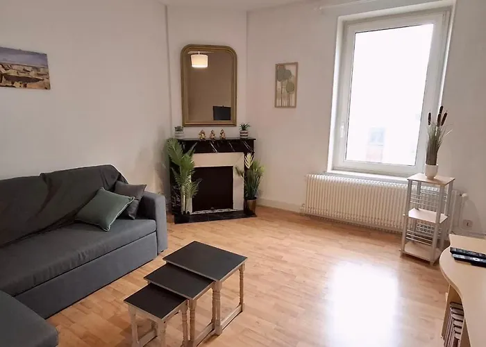 Des Cousines Anais 4 Personnes Apartment Nancy